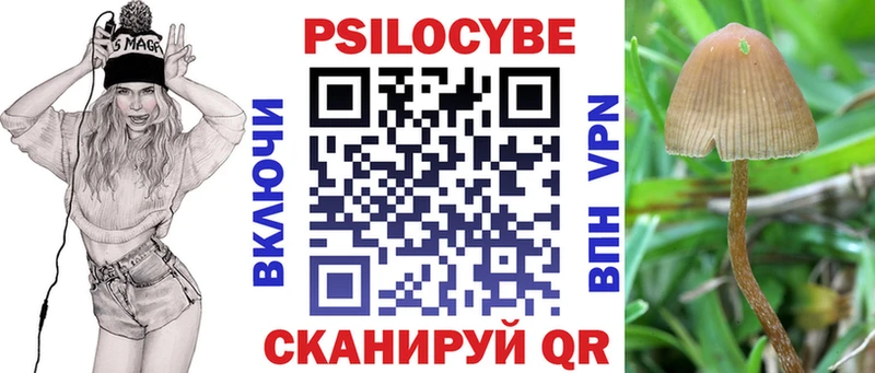 Псилоцибиновые грибы MAGIC MUSHROOMS  купить закладку  мега как войти  Стерлитамак 
