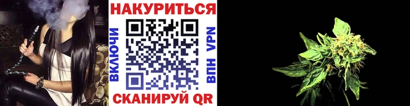 даркнет как зайти  Стерлитамак  МАРИХУАНА сатива 